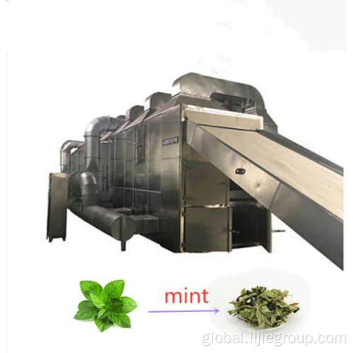 Belt Dryer For Cassava Chips Herb Hemp Drying Machine Manufactory